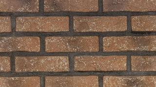 RUSTIK 568  (34,45 EUR/m² s DPH)