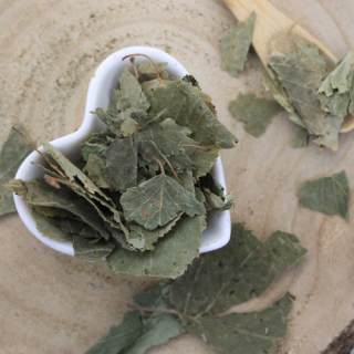 Breza previsnutá, breza bielokôra - list celý - Betula pendula - Folium betulae 1000 g