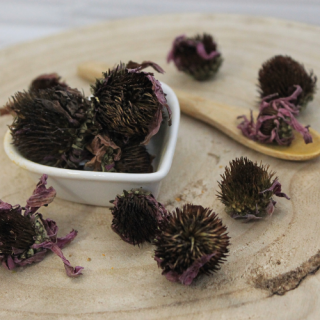Echinacea purpurová - kvet celý - Echinacea purpurea - Flos echinaceae 50 g