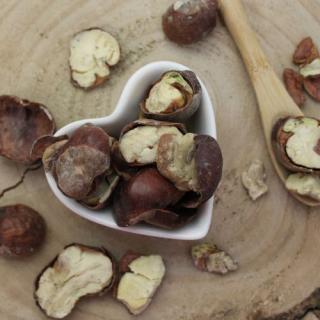 Gaštan, Pagaštan konský - plod celý - Aesculus hippocastanum - Fructus hippocastani 50 g