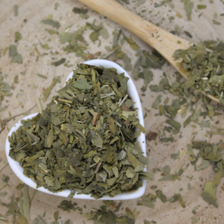 Ginko dvojlaločné - list celý - Ginkgo biloba - Folium ginkgo 50 g