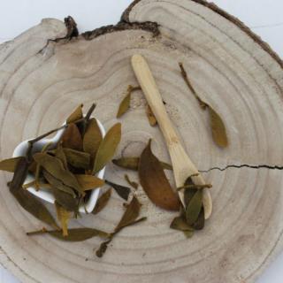 Imelo biele - vňať narezaná - Viscum album - Herba visci albi 250 g