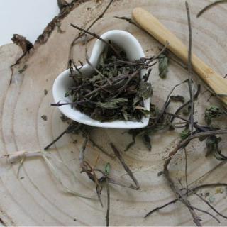 Mäta pieporná - vňať celá - Mentha x piperita - Herba menthae piperitae 50 g
