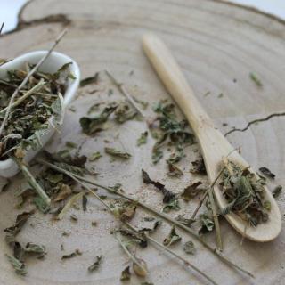Mäta prieporná - vňať narezaná - Mentha x piperita - Herba menthae piperitae 50 g