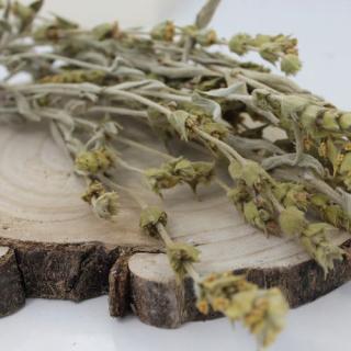 Mursalský čaj, ranhoj horský - vňať - Sideritis scardica - Herba sideritis scardica 50 g