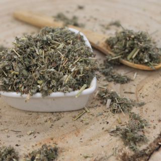 Nátržník strieborný - vňať narezaná - Potentilla argentea - Herba potentillae argentii 50 g