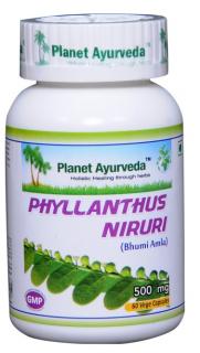 Planet Ayurveda CHANCA PIEDRA 60 kapsúl – na detoxikáciu a regeneráciu pečene a obličiek, proti žlčníkovým a obličkovým kameňom