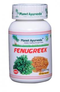Planet Ayurveda FENUGREEK (Senovka grécka) 60 kapsúl – vysokoúčinný extrakt zo senovky gréckej