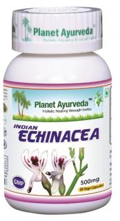 Planet Ayurveda INDICKÁ ECHINACEA (Právenka Latnatá) 60 kapsúl –  pri rôznych infekciách a pri podpore imunitného systému