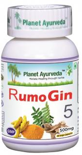 Planet Ayurveda RUMOGIN5 60 kapsúl – liečba zápalových ochorení kĺbov