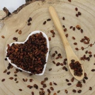 Rakytník rašetliakový - plod celý - Hippophae rhamnoides - Fructus hippophae 50 g