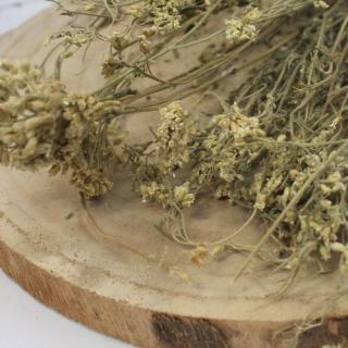 Rebríček obyčajný - kvet celý - Achillea millefolium - Flos millefolii 1000 g