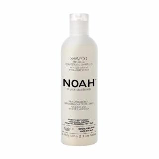 Šampón neutralizujúci žlté tóny Čučoriedka Noah 250ml jemné