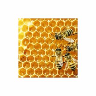Včelí vosk Cera Alba 100% Bio Alteya 60g ORGANIC