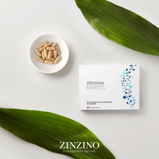 Zinzino Protect+ 60 tabliet –  vitamín D3, C a beta glukánmi pre posilnenie imunity a ochranu buniek