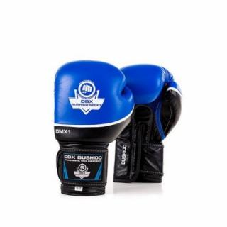 Boxerské rukavice BUSHIDO DBD-B-2v2 Veľkosť: 10 oz