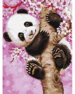 Maľovanie podľa čísel 30x50 cm RAMIZ - panda
