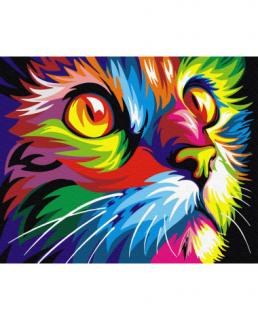 Maľovanie podľa čísel 40x50 cm RAMIZ - mačka