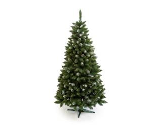 Vianočný stromček borovica Iza 2,40 m