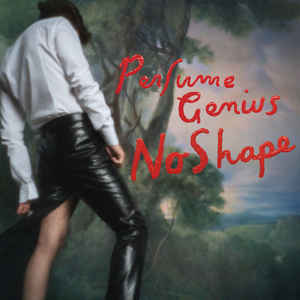 vinyl 2LP PERFUME GENIUS No Shape