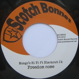vinyl 7 SP Mungo's Hi-Fi Freedom Come