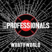 vinyl LP PROFESSIONALS What In the World