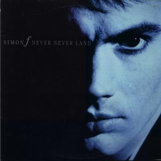 vinyl LP Simon F Never Never Land (180 gram.vinyl)