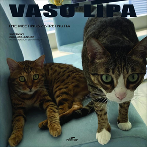 vinyl LP VASO LIPA - The Meetings/Stretnutia