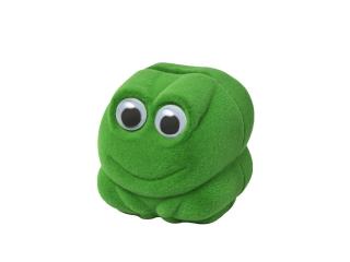 Olivie Darčeková krabička ŽABKA 0035