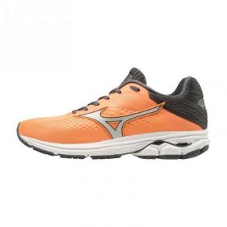 Pánska obuv Mizuno Wave Rider 23