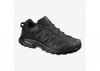 Topánky Salomon XA Pro 3D V8 GTX - Urban Chic/Black