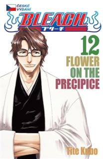 Bleach 12: Flower on a Precipice CZ [Tite Kubo]