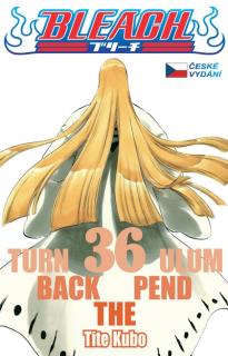 Bleach 36: Turn Back The Pendulum CZ [Tite Kubo]