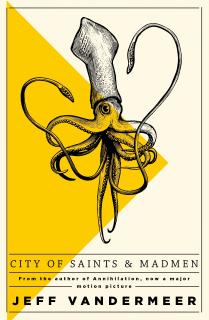 City of Saints and Madmen [VanderMeer Jeff] (Ambergris #1)