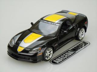 Chevrolet Corvette Z06 GT1 2009 Commemorative Edittion (sběratelský model, určeno pouze k vystavení)