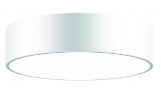 Kúpelňové stropné svietidlo Temar CLEO 300 IP54 biela (Kúpelňové stropné svietidlo Temar CLEO 300 IP54 biela)