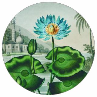 Kruhová fototapeta  Modrý lotos  Netkaná textília, 100x100
