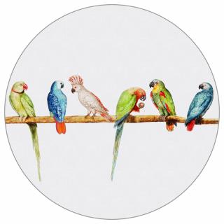 Kruhová fototapeta  Papagáje  Umývateľný fleece, 100x100