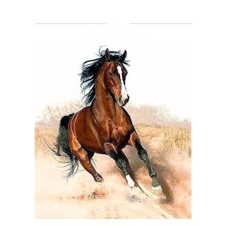 Maľovanie podľa čísiel s rámom  Kôň 2  50x40 cm