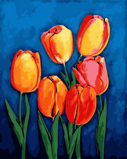 Maľovanie podľa čísiel s rámom  Tulipány  50x40 cm