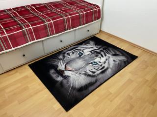 Koberec  Tiger 100x150 cm