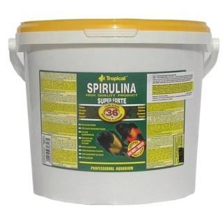 TROPICAL-Spirulina Forte 36% 21L/4kg