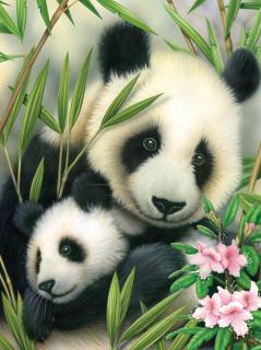 Maľovanie podľa čísiel formát A4 - Panda s mláďaťom (Sada na maľovanie podľa čísiel Royal Langnickel - A4)