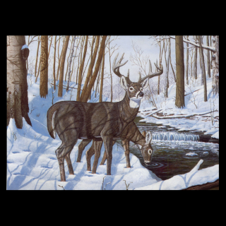 Maľovanie podľa čísiel - Jelene v zime (Sada na maľovanie podľa čísiel Royal &amp; Langnickel)