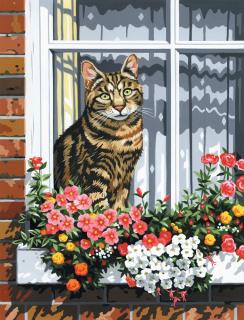 Maľovanie podľa čísiel na plátno formát A4 - Mačka v okne (Sada na maľovanie podľa čísiel na plátno Royal Langnickel - A4)