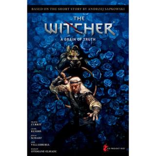 Andrzej Sapkowskis The Witcher: A Grain Of Truth