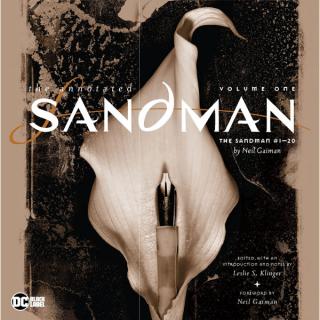 Annotated Sandman 1