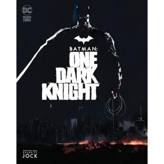 Batman: One Dark Knight