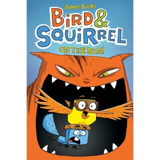 Bird & Squirrel on the Run A Graphic Novel