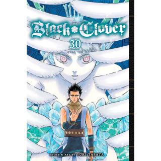 Black Clover 30